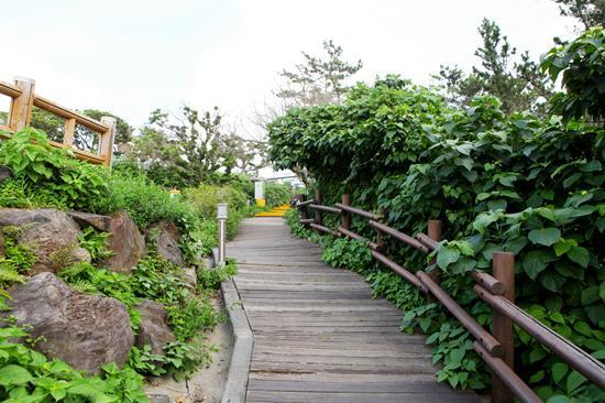 Haeansung Pension Seogwipo Ngoại thất bức ảnh